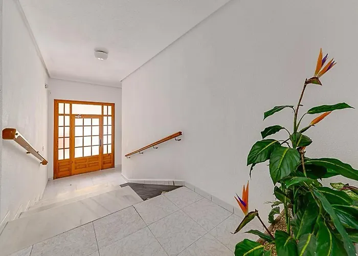 Hidden Pearl * Torrevieja